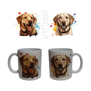 Labradorinnoutaja -muki1