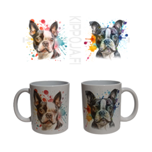 Bostoninterrieri -muki2